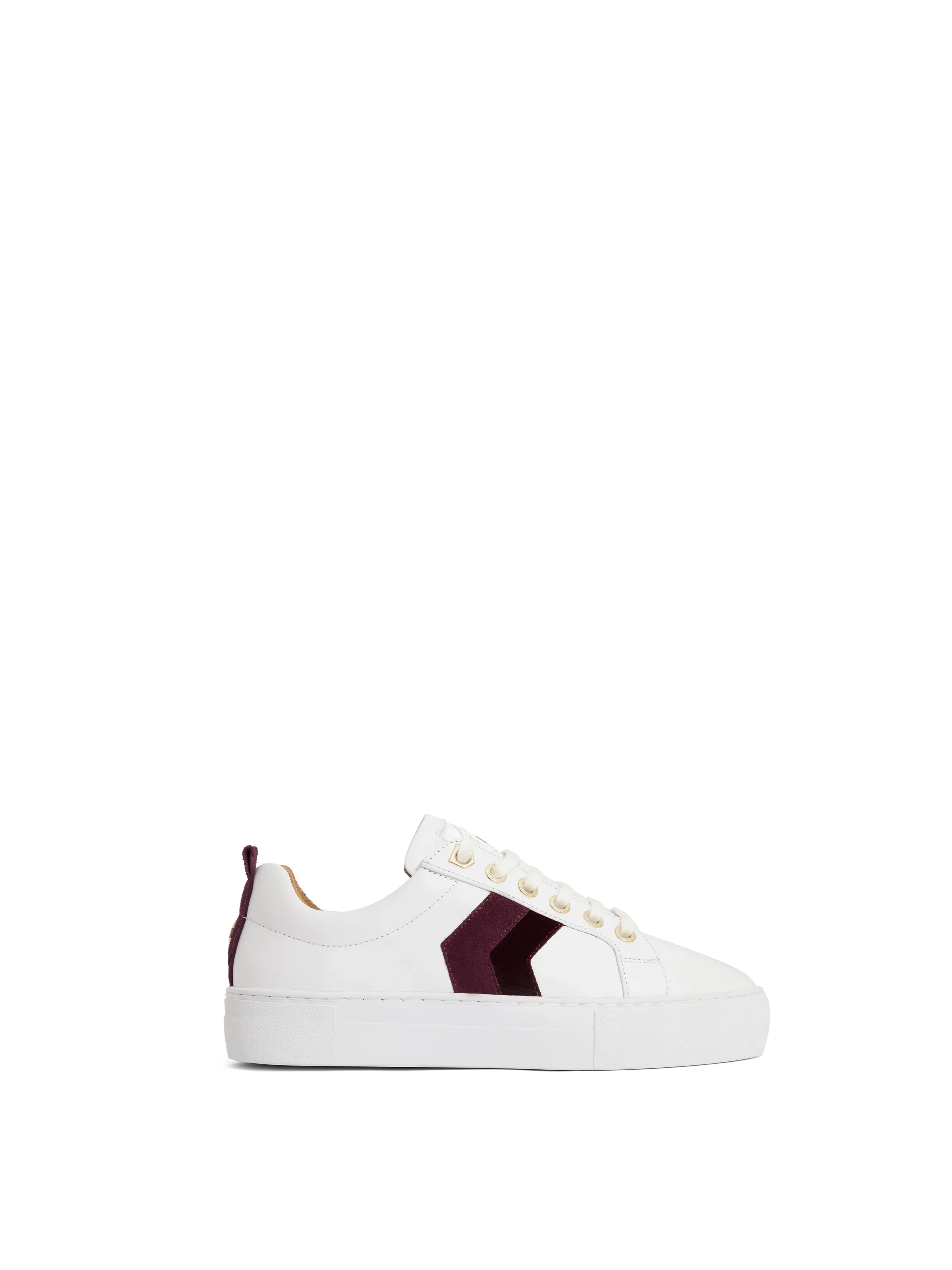 Newcomers Favourites